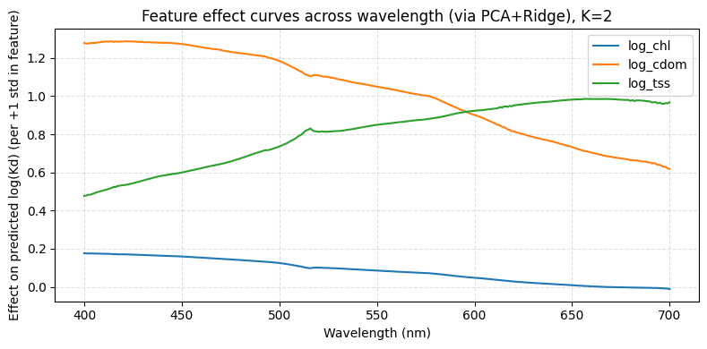 Saved project figure showing summary feature importance.