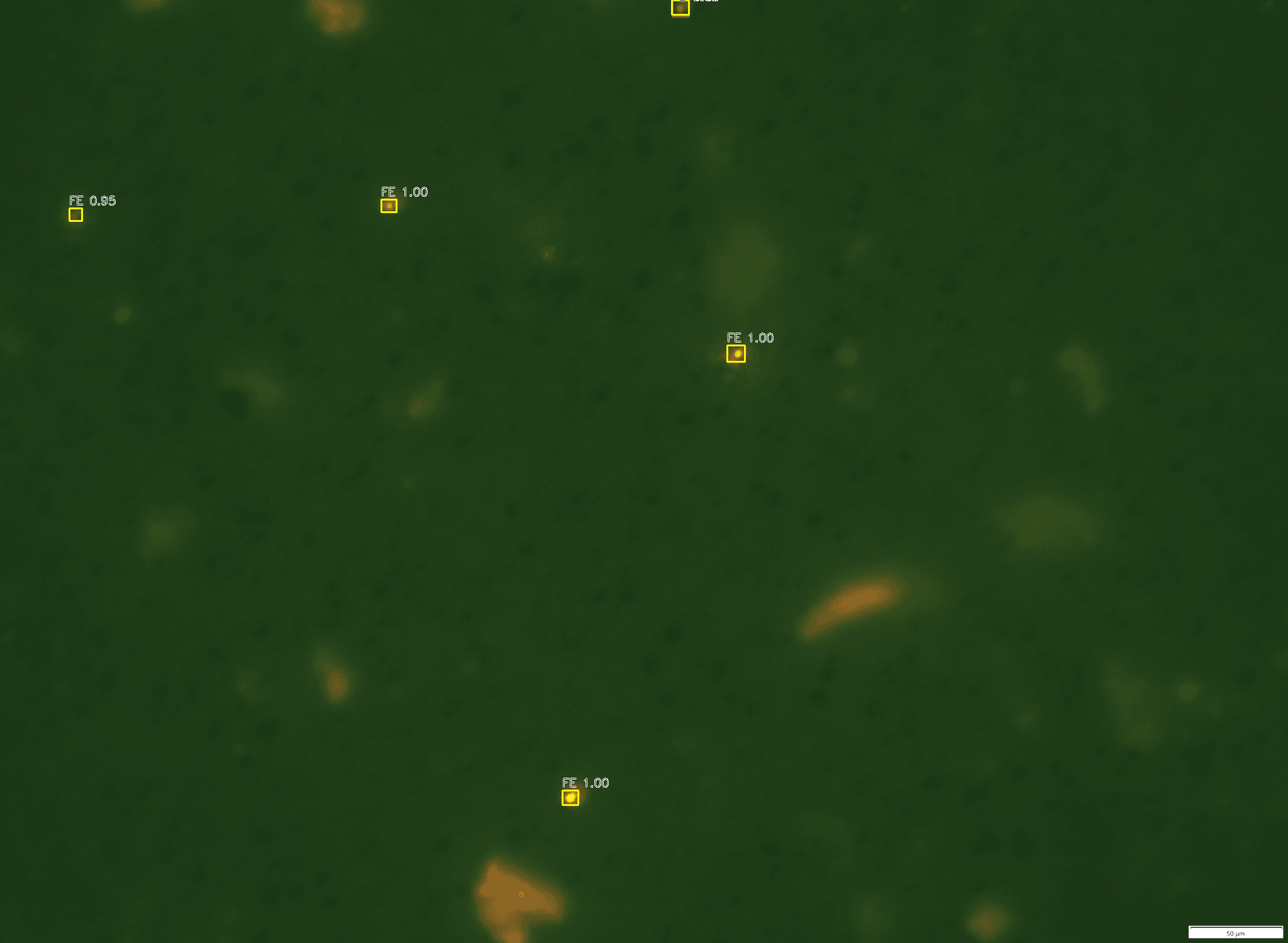 Predicted detections on a microscopy sample.